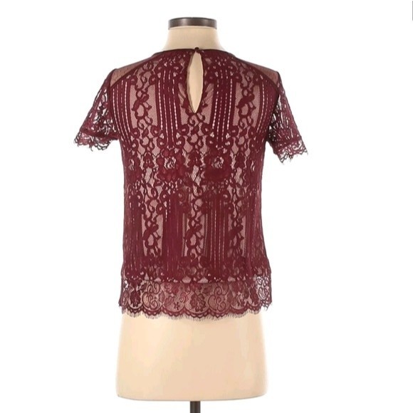 Express Maroon Lace Blouse - Picture 5 of 13